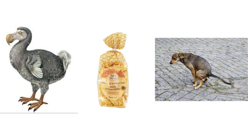 Design sans titre (1).png