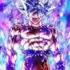 SONGOKUUI