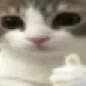 oorangee