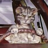 Toonces242