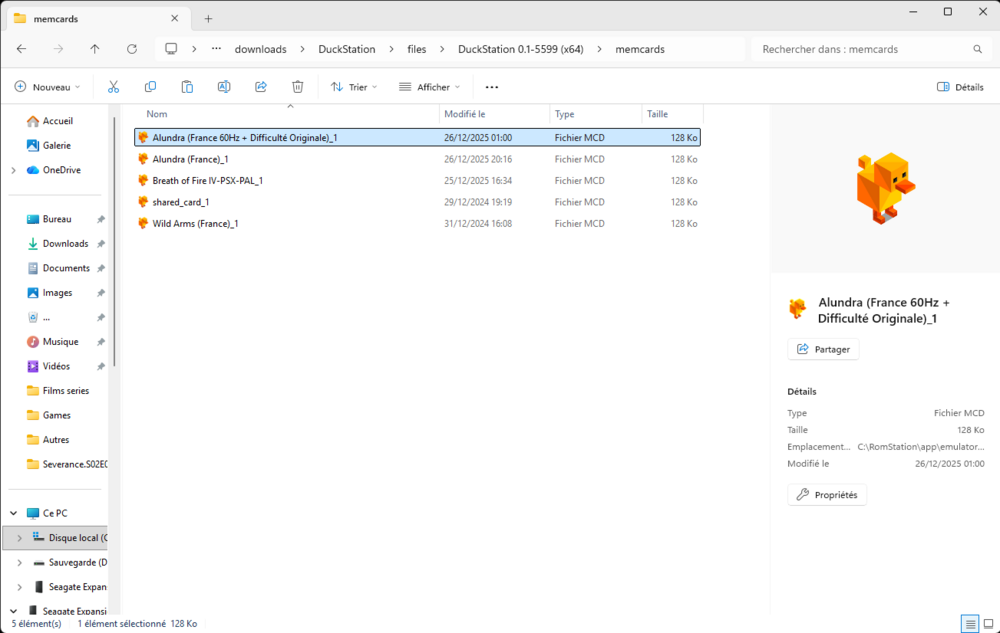 memcards _ Explorateur de fichiers 26_12_2025 20_59_27.png