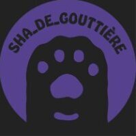 ShaDeGouttiere