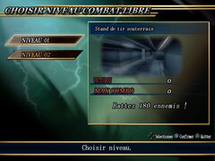 10000 Bullets combat libre.jpg