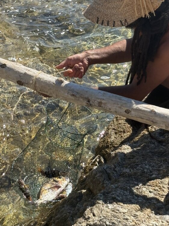 peche3.thumb.jpg.5a42262e95140876f82bf3f9f5df5280.jpg