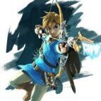 zelda59219